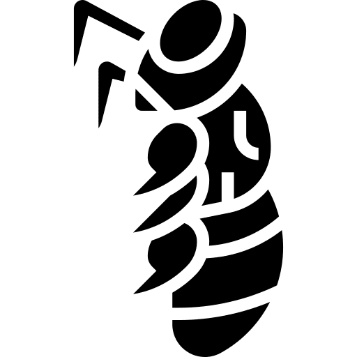 Bee bug entomology insect icon