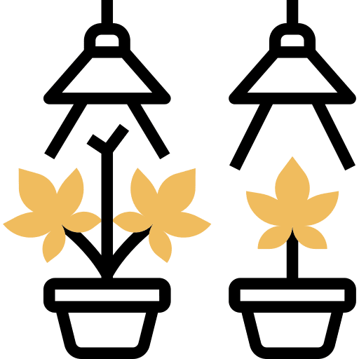 Cannabis weed marijuana growing seed icon Cannabis weed marijuana growing seed icon