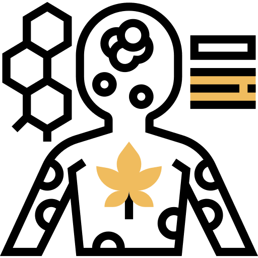 Endocannabinoids infographic system cannabis icon