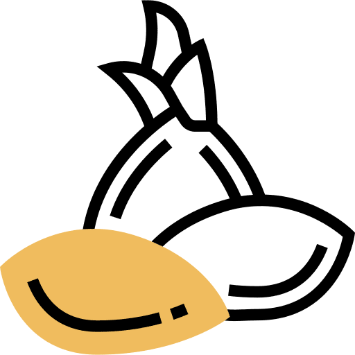 Seeds botanical leaf seeds icon