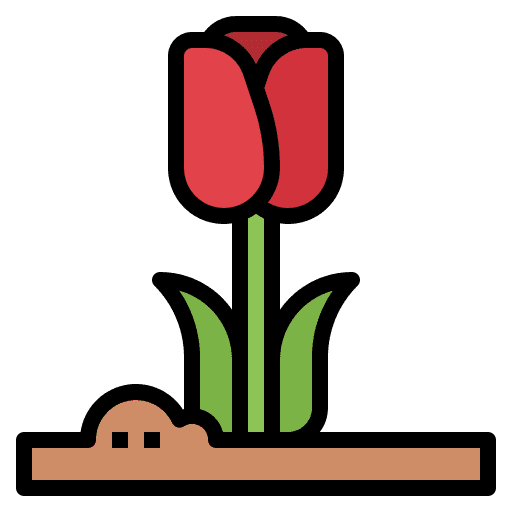 Tulip flower spring tulip icon