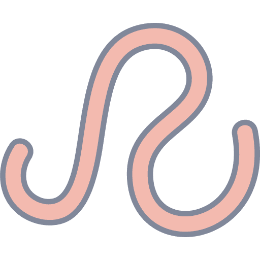 Worm animal kingdom bug worm icon Worm animal kingdom bug worm icon