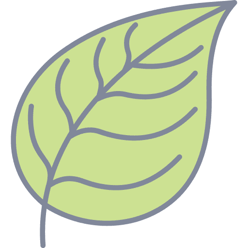 Leaf spring plant nature icon Leaf spring plant nature icon
