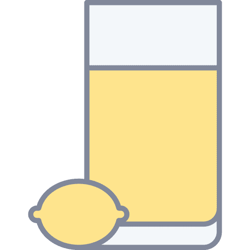 Lemonade food and restaurant juice citrus icon Lemonade food and restaurant juice citrus icon