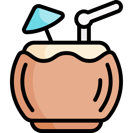 Coconut summer holidays holiday vacation icon