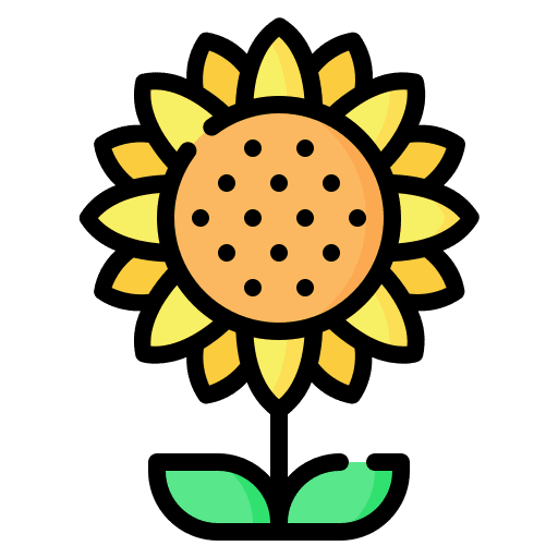 Sunflower sunflower nature flower icon Sunflower sunflower nature flower icon
