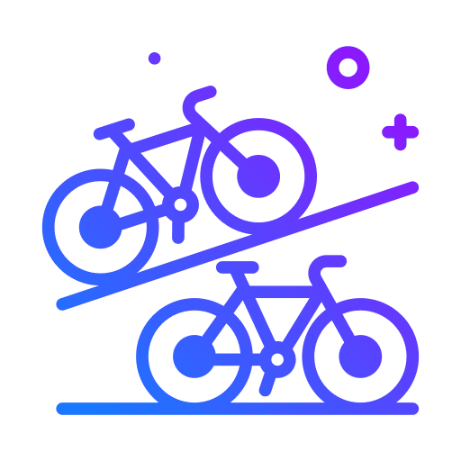 Biking cycling transportation pair icon