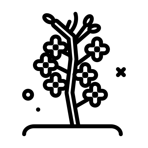 Rapeseed seed and flower cultivate farming icon