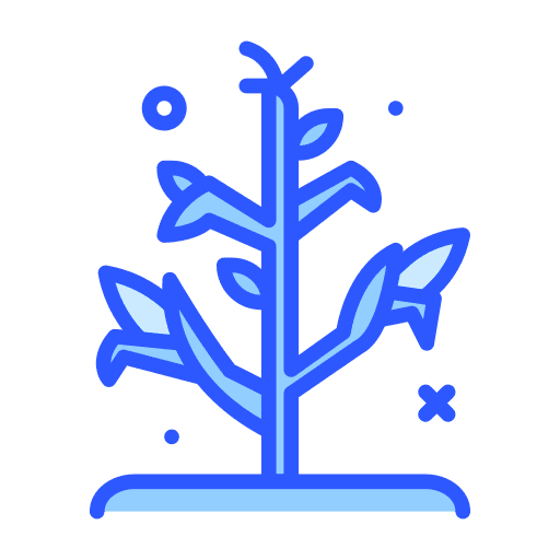 Corn gardening corn cultivate icon Corn gardening corn cultivate icon