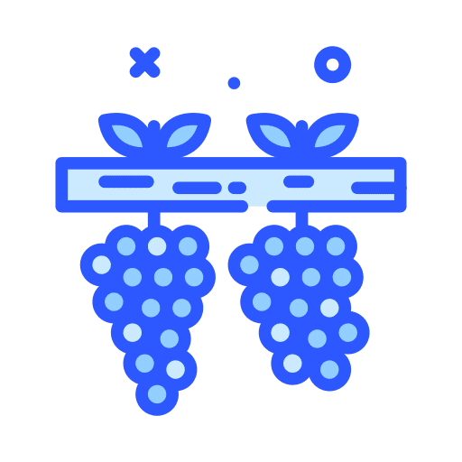 Grapes farming grapes hang icon Grapes farming grapes hang icon