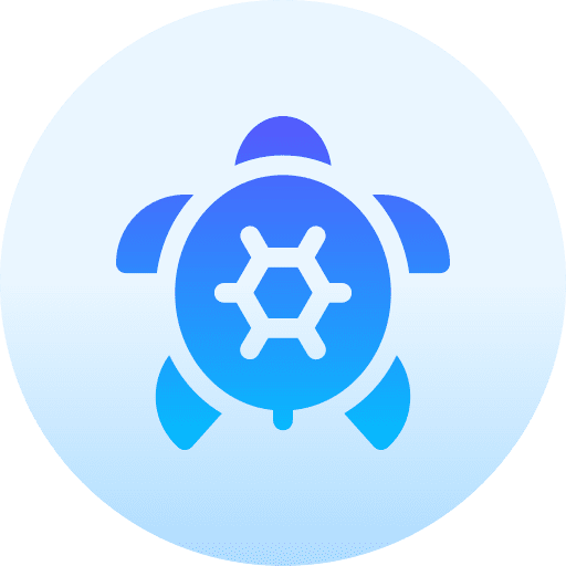 Turtle turtles shell protection icon