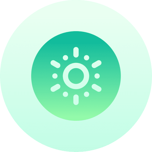 Kiwi diet vegetarian fruit icon