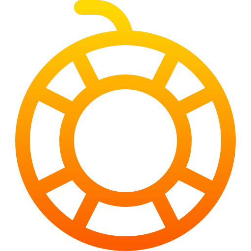 Life saver float lifeguard lifebuoy icon Life saver float lifeguard lifebuoy icon