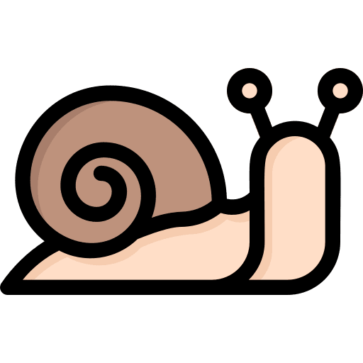 Snail animal kingdom garden wildlife icon Snail animal kingdom garden wildlife icon