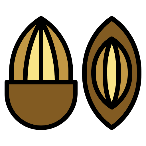 Almond vegan healthy food seed icon