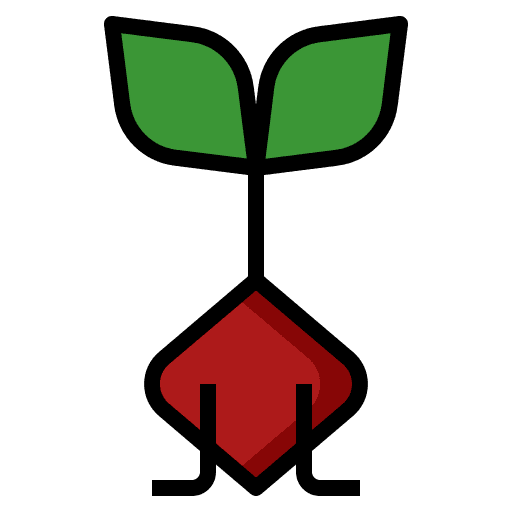 Beetroot vegetable agriculture plant icon
