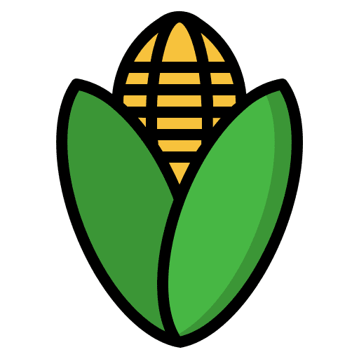 Corn organic corn diet icon