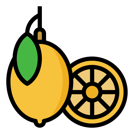 Lemon sour vitamin c citrus icon