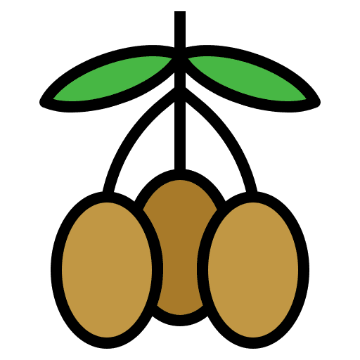 Olive food and restaurant fruit healthy food icon