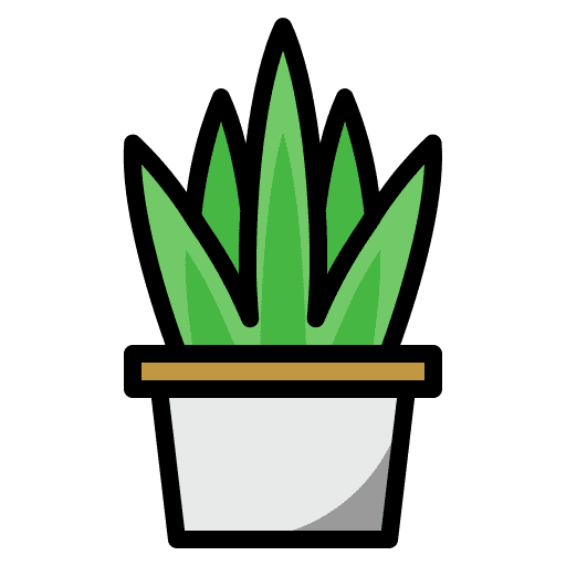 Aloe vera herbal organic aloe vera icon