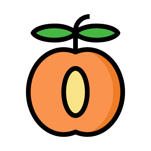 Apricot diet apricot vegetarian icon