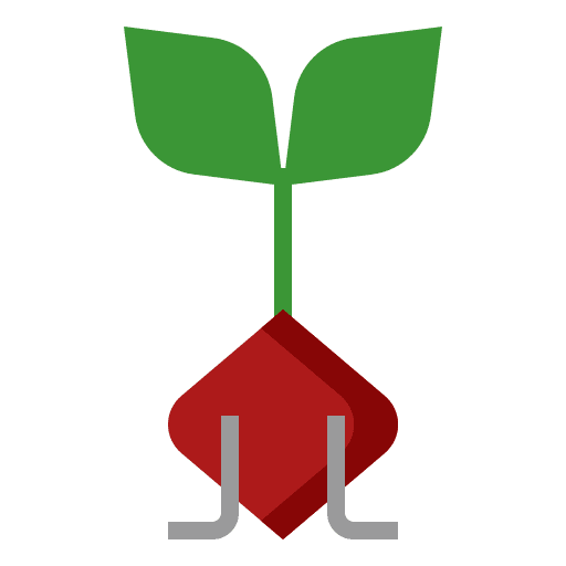 Beetroot agriculture sprout diet icon