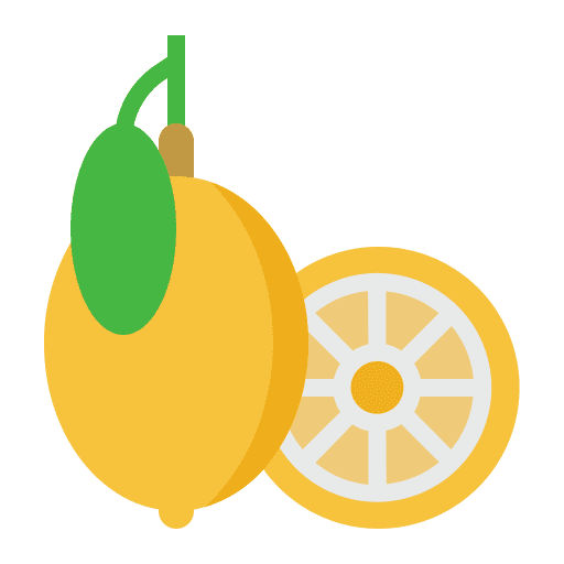 Lemon citrus sour food and restaurant icon