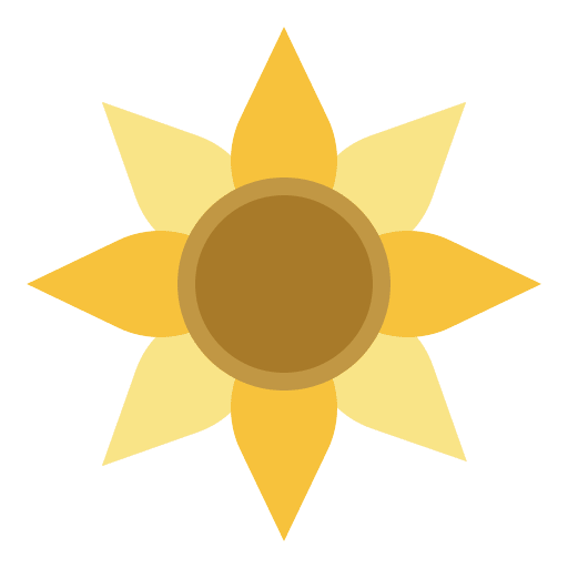 Sunflower blossom floral sunflower icon