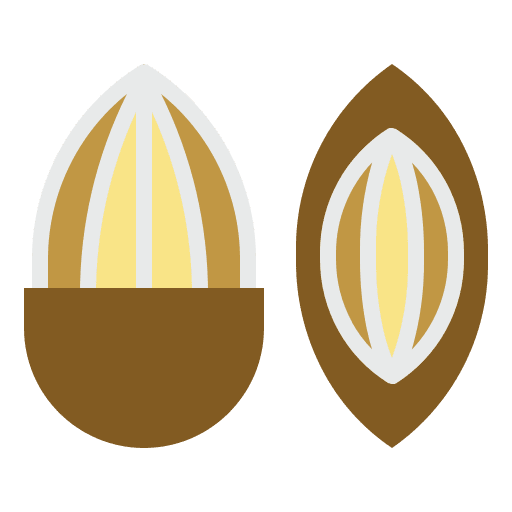 Almond vegetarian vegan dried fruit icon
