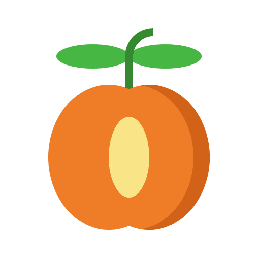 Apricot vegetarian nutrition diet icon