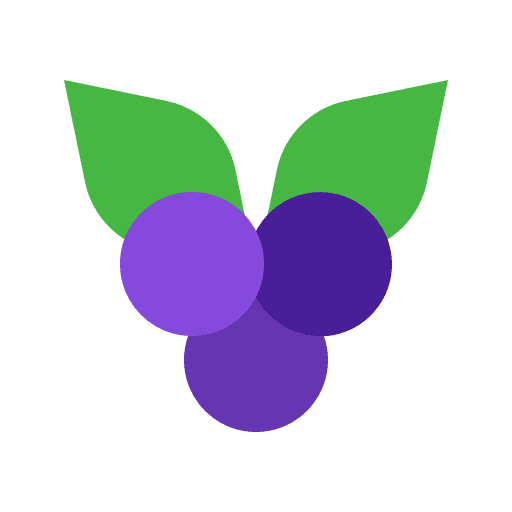 Blueberry nature healthy food vitamin icon