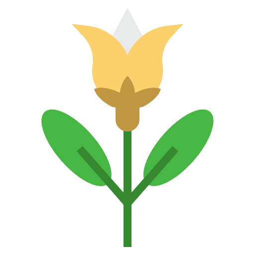 Chamomile plant nature chamomile icon