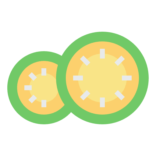 Cucumber slice personal care food and restaurant treatment icon