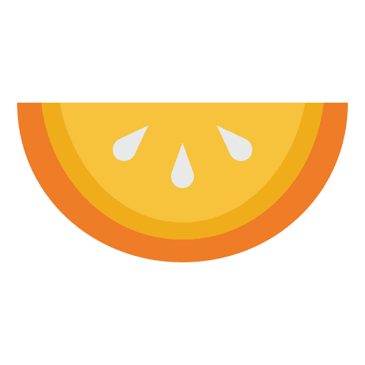 Orange slice vitamin c fruit citrus icon