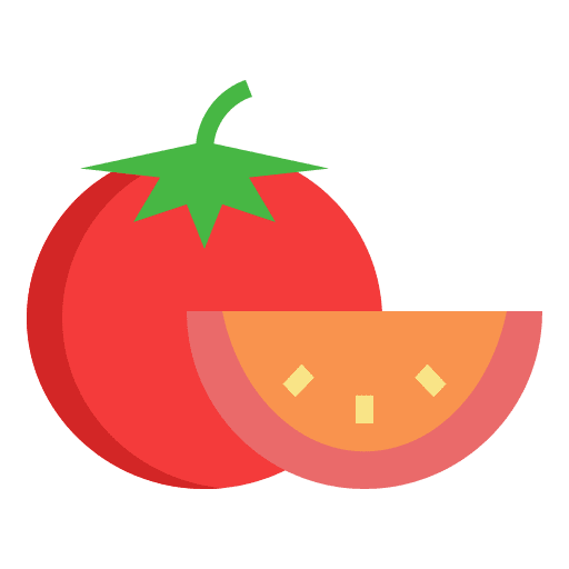 Tomato vegan healthy food farming and gardening icon
