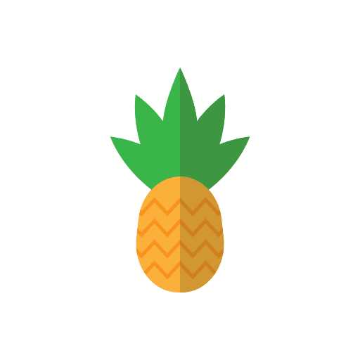 Pineapple fruits pineapples pineapple icon