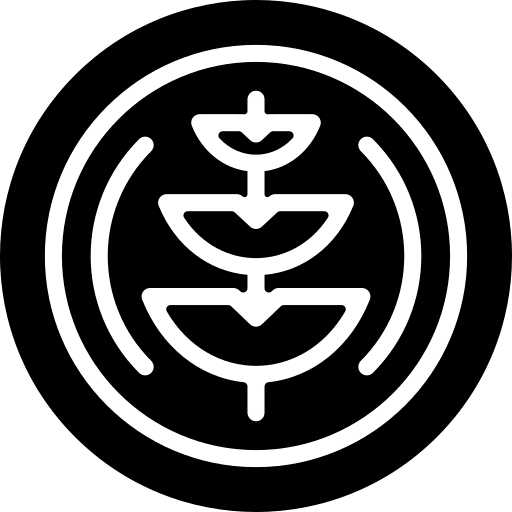 Coin currency cash coin icon