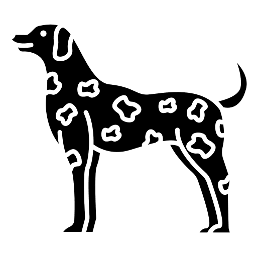 Dalmation animals dog zoology icon