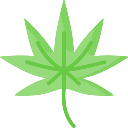 Cannabis treatment botanical cannabis icon Cannabis treatment botanical cannabis icon
