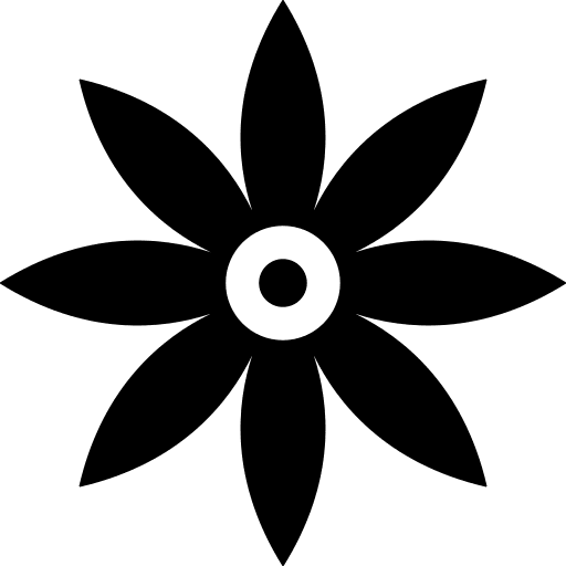 Anise india nature plant icon