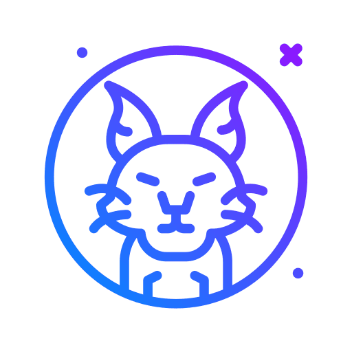 Cat animals pet cat icon