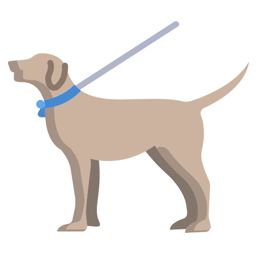 Walking the dog leash walking the dog animals icon