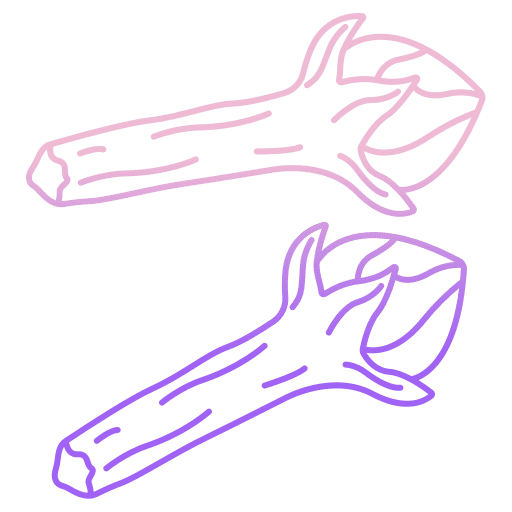 Clove organic food and restaurant spice icon