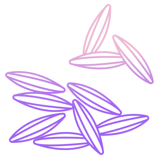 Cumin food and restaurant cooking nature icon