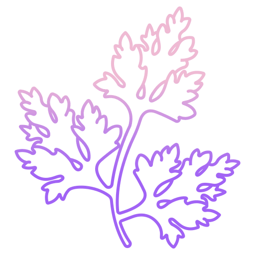 Parsley vegan vegetarian healthy food icon
