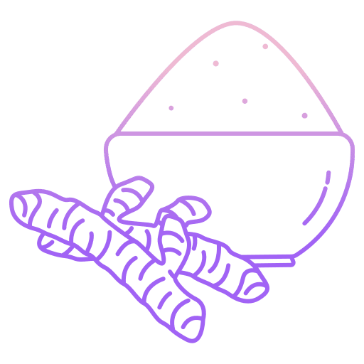 Turmeric seasoning spice cooking icon Turmeric seasoning spice cooking icon