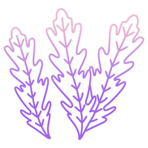 Arugula healthy food organic food and restaurant icon Arugula healthy food organic food and restaurant icon