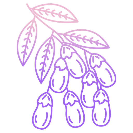 Barberry berries fruit food icon Barberry berries fruit food icon