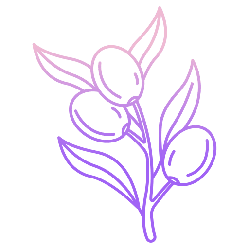 Olives leaf nature healthy food icon Olives leaf nature healthy food icon