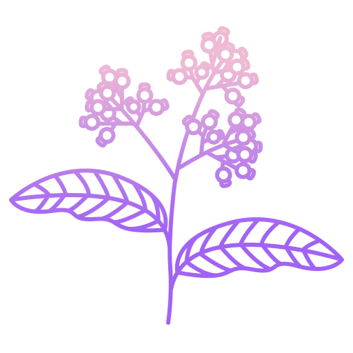 Pepper leaf nature plant icon Pepper leaf nature plant icon